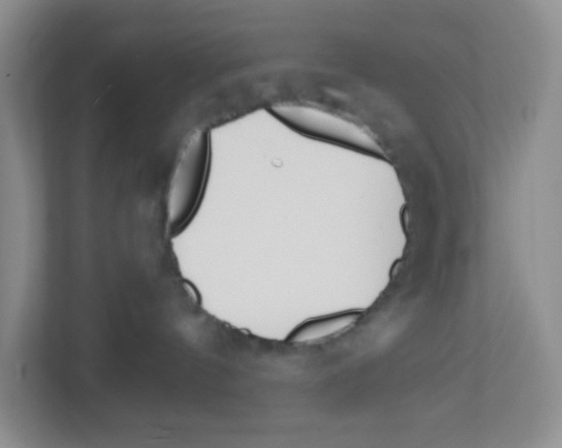 X0000112500144200909141231