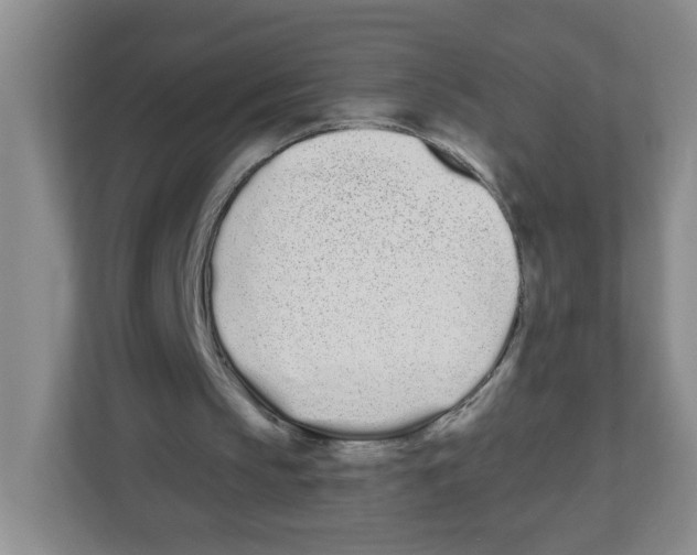 X0000112500145200909141231