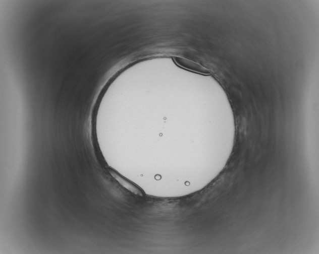 X0000112500148200909141231