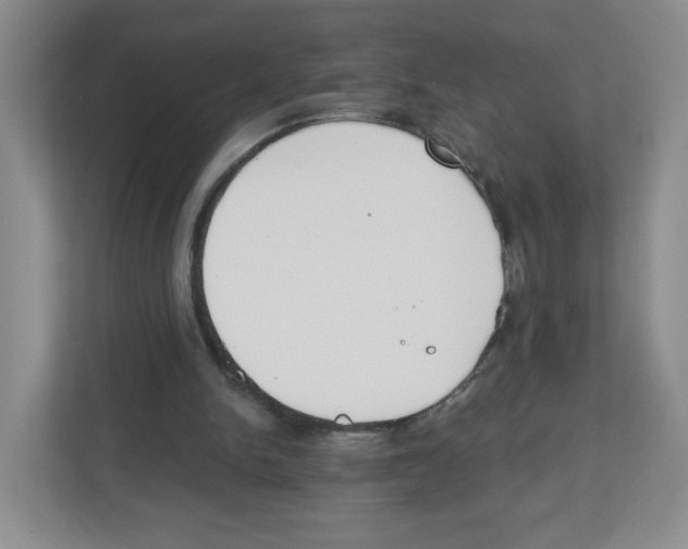 X0000112500150200909141231