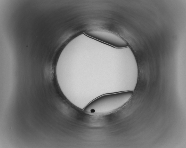 X0000112500160200909141231