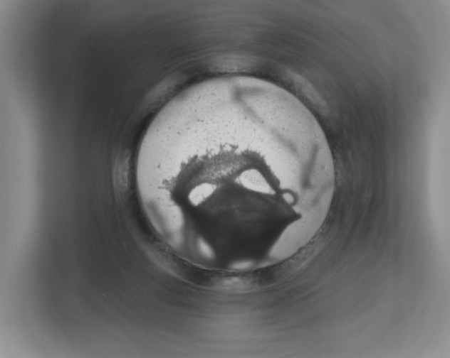 X0000112500163200909141231