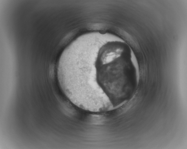 X0000112500167200909141231