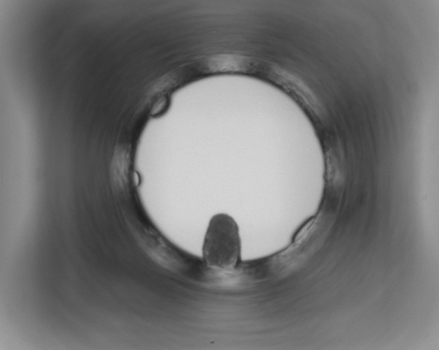 X0000112500171200909141231