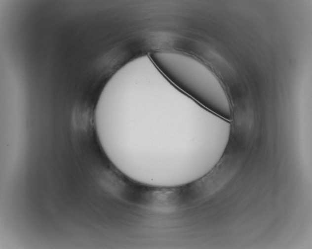 X0000112500172200909141231