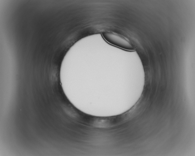 X0000112500174200909141231