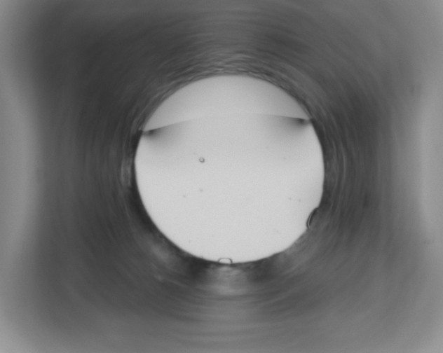 X0000112500180200909141231