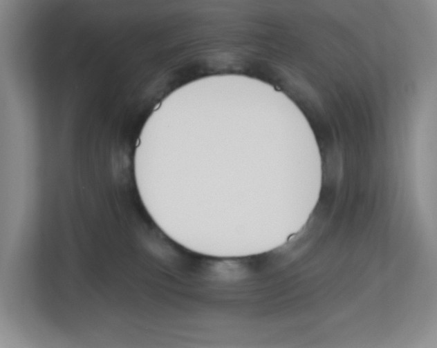 X0000112500183200909141231