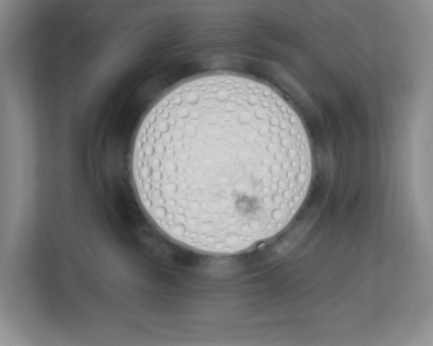 X0000112500189200909141231