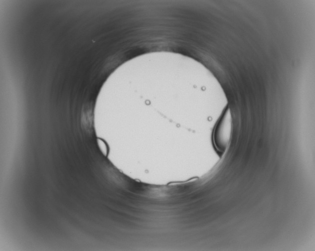 X0000112500190200909141231