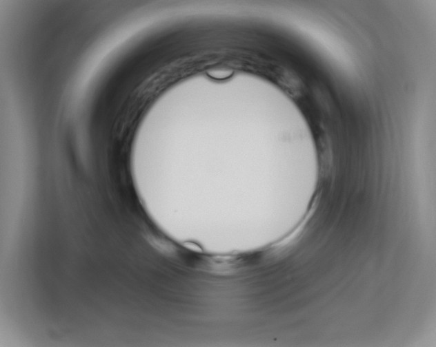 X0000112500191200909141231