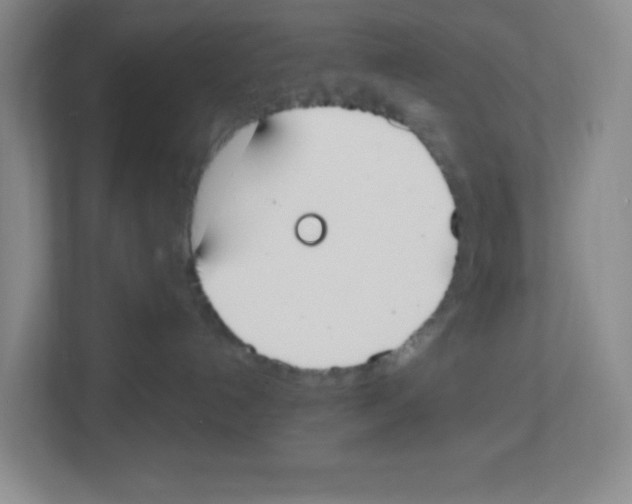 X0000112500192200909141231