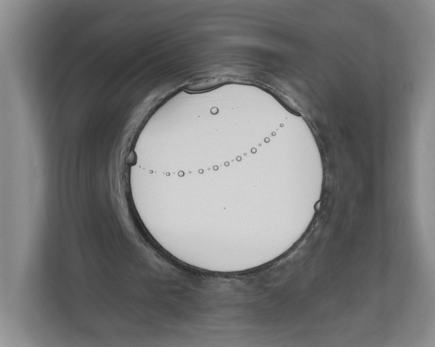 X0000112500193200909141231