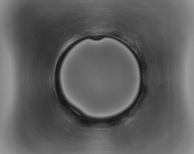 X0000112500196200909141231