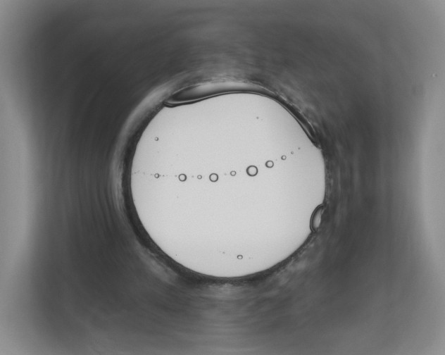 X0000112500197200909141231