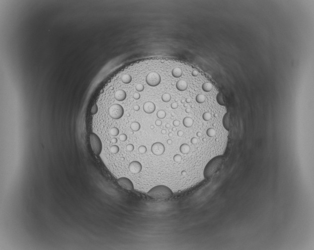 X0000112500198200909141231