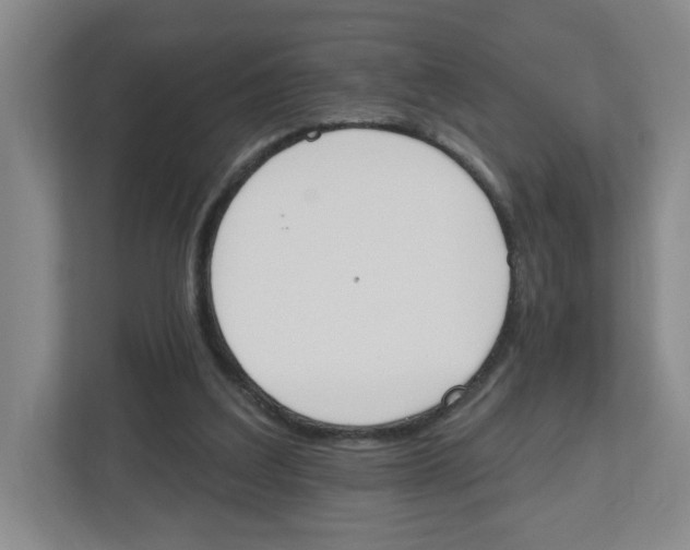 X0000112500203200909141231