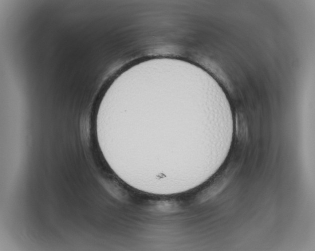 X0000112500204200909141231