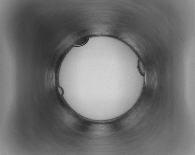 X0000112500205200909141231