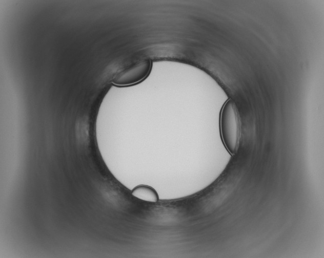 X0000112500207200909141231