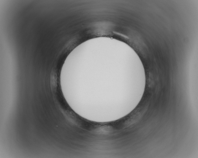 X0000112500210200909141231