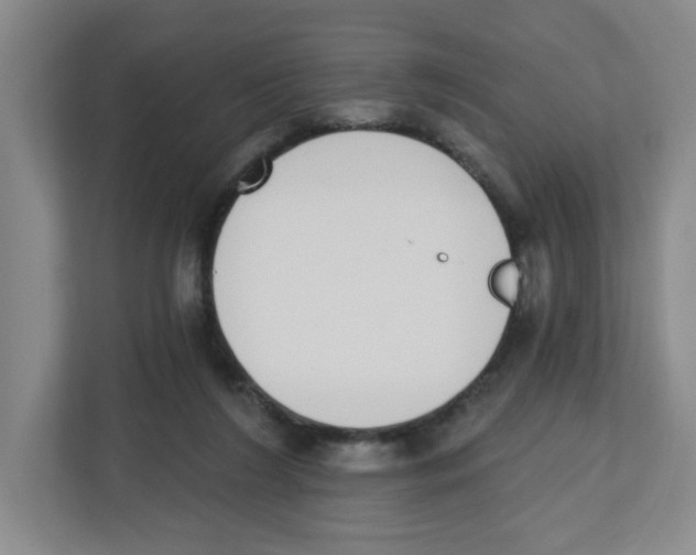 X0000112500212200909141230