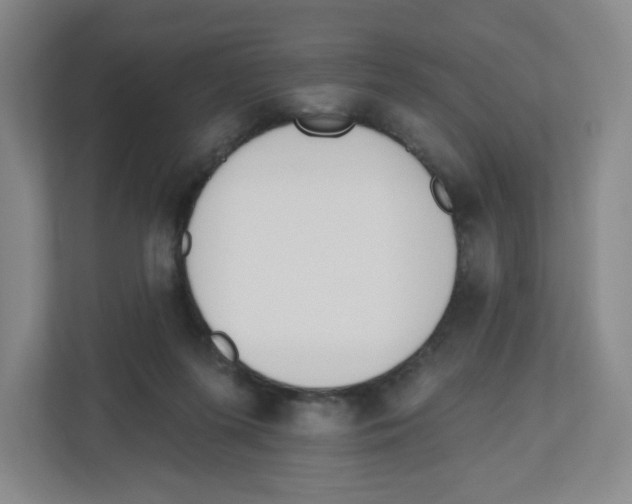 X0000112500215200909141230