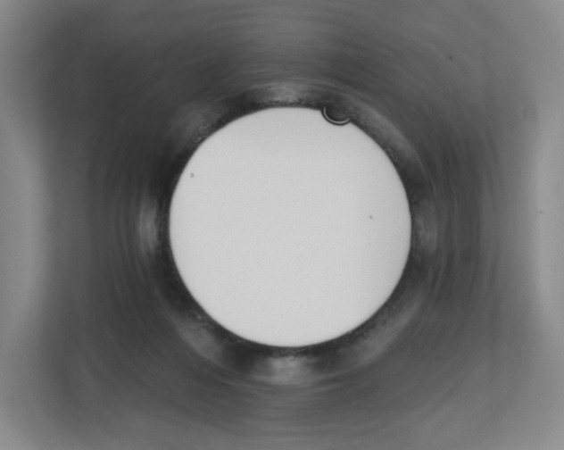 X0000112500216200909141230