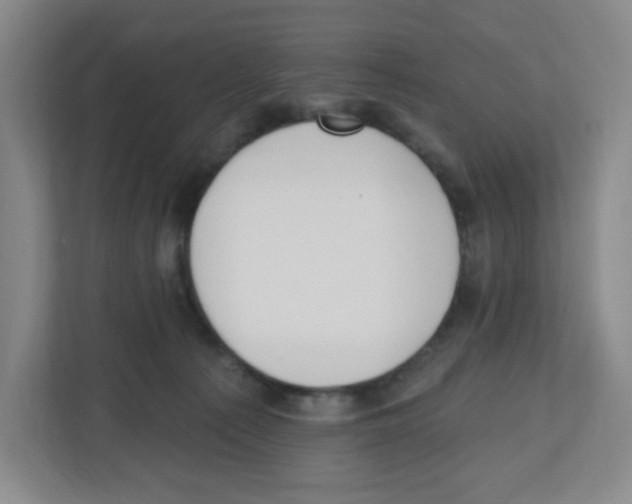 X0000112500225200909141230