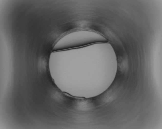 X0000112500235200909141230