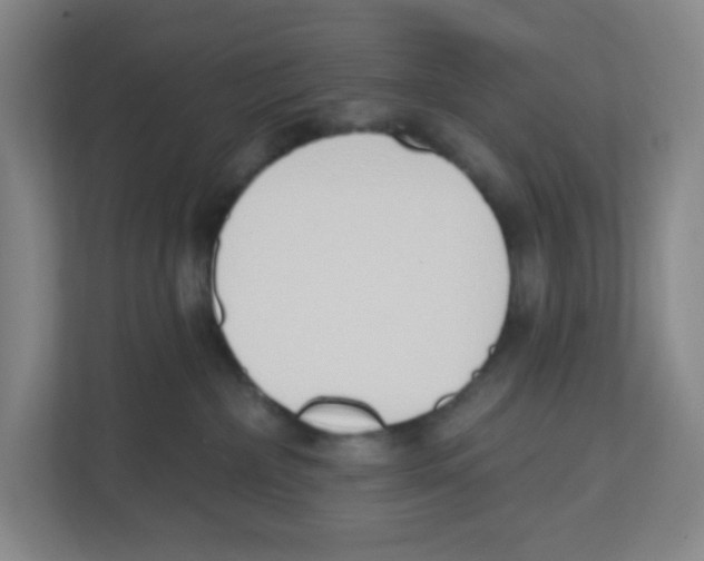 X0000112500236200909141230