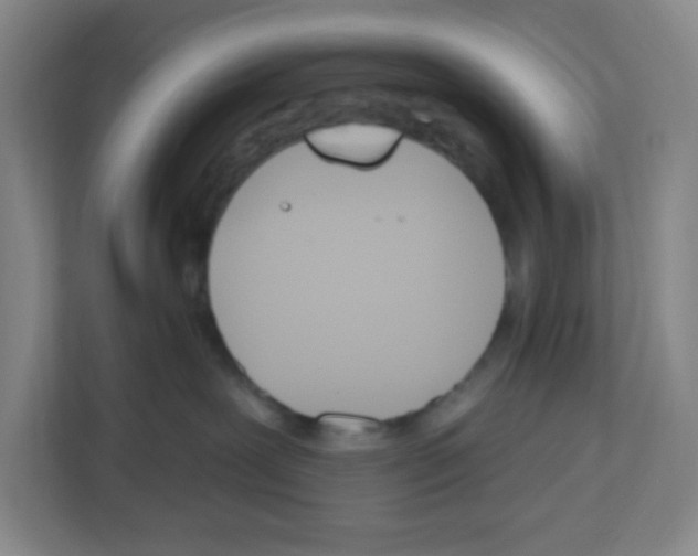 X0000112500239200909141230