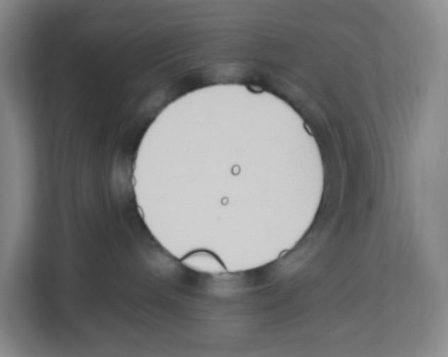 X0000112500240200909141230