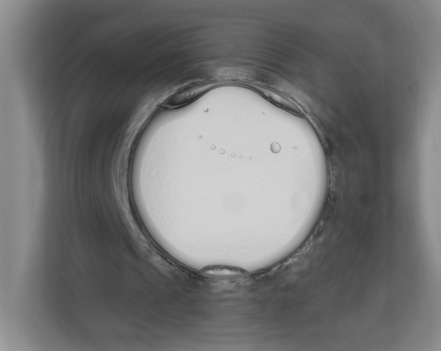 X0000112500241200909141230