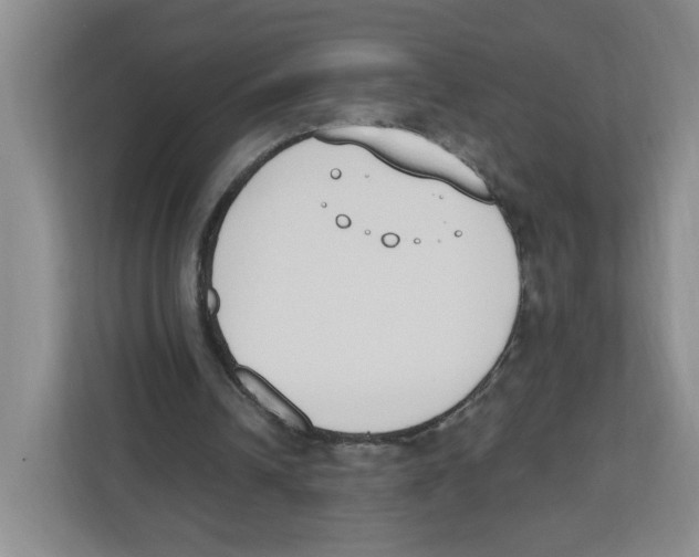 X0000112500242200909141230