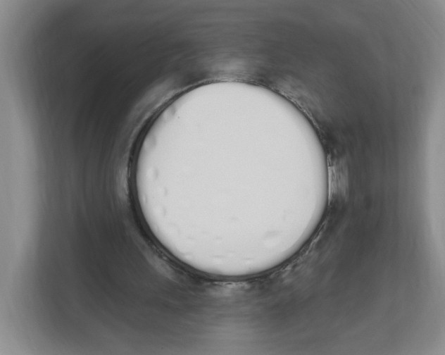 X0000112500243200909141230