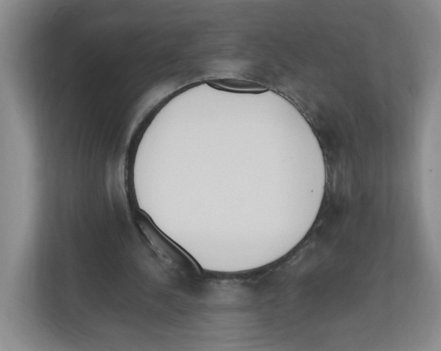 X0000112500244200909141230