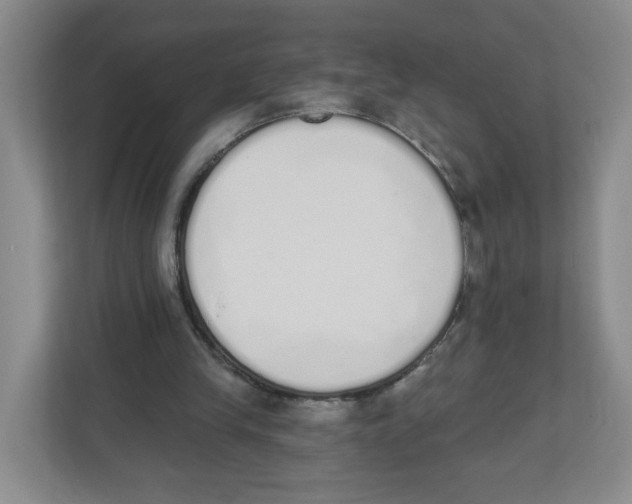 X0000112500245200909141230