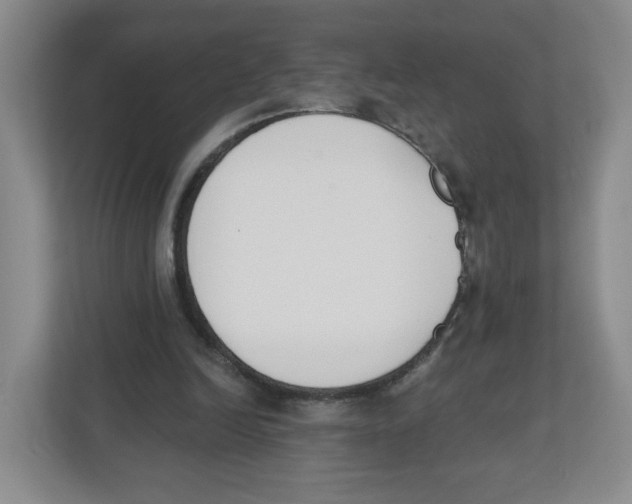 X0000112500246200909141230