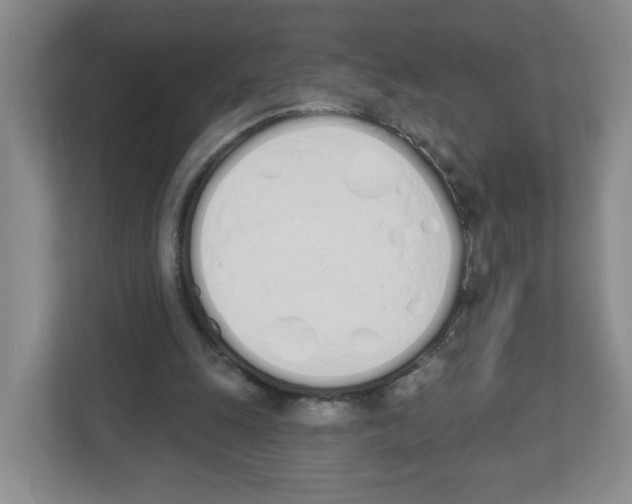 X0000112500247200909141230