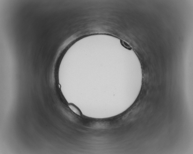 X0000112500248200909141230