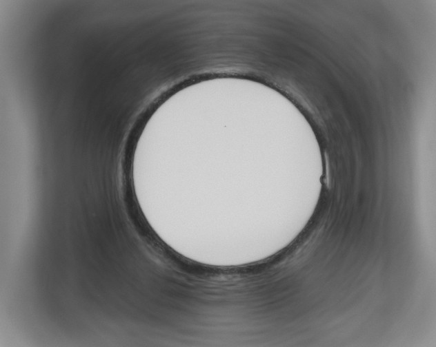 X0000112500252200909141230