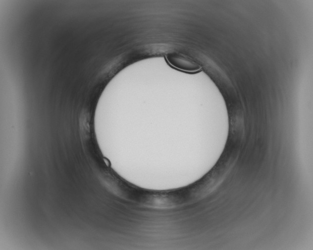 X0000112500264200909141230