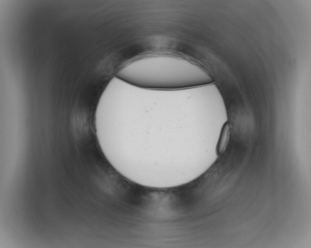 X0000112500272200909141230