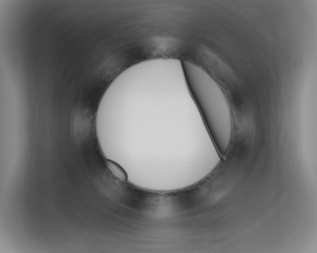 X0000112500276200909141230