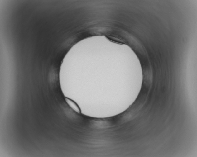 X0000112500284200909141230