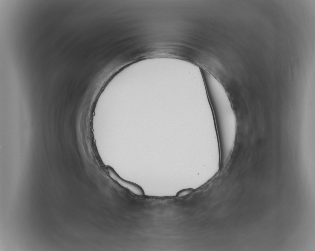 X0000112500289200909141229