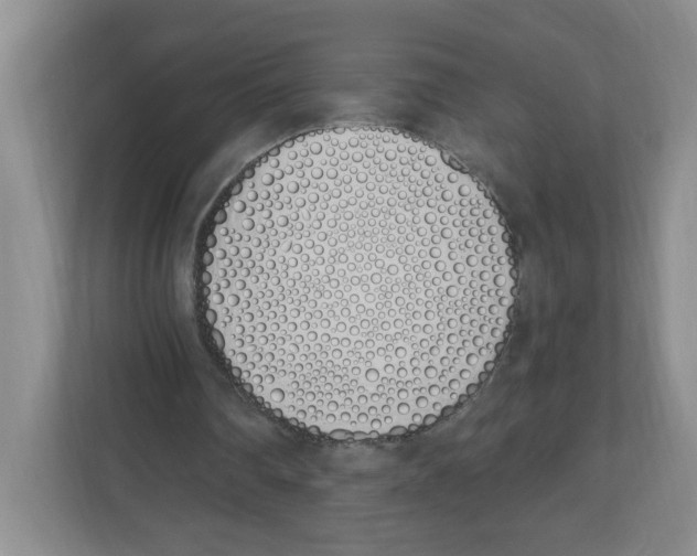 X0000112500290200909141229