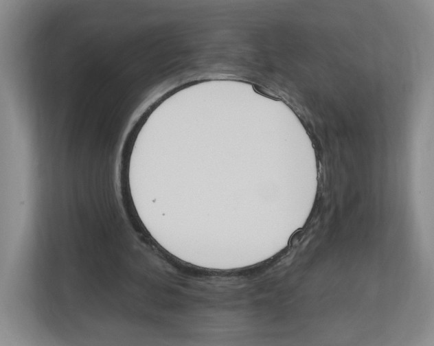 X0000112500292200909141229