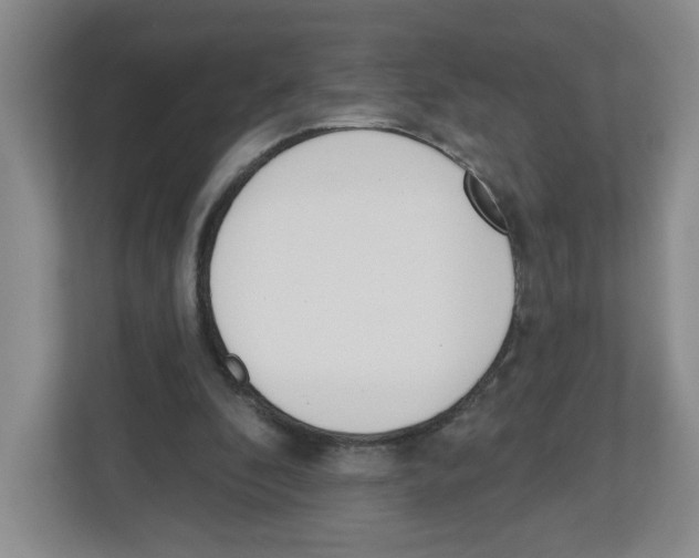 X0000112500296200909141229